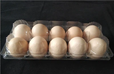 থার্মোফর্মড ট্রে: বহুমুখী সমাধান আধুনিক প্যাকেজিং এবং শিল্প দক্ষতা চালনা করে